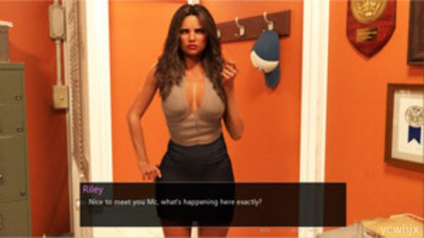 Intimate Investigations gameplay screenshot 3