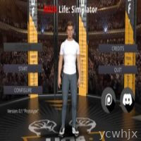 MMA Life Simulator