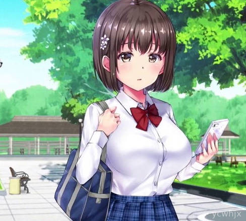 Inspect Bakudori gameplay screenshot 1