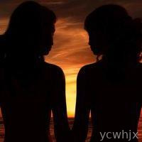 The Sunset Fairies