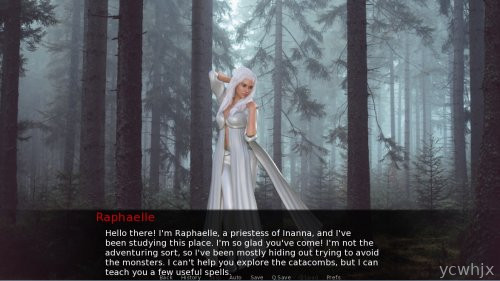 Damsels and Dungeons gameplay screenshot 3